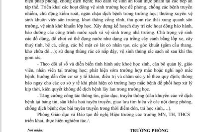 Thông tin về thời tiết