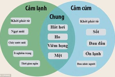 ! số các phòng bệnh trong mùa đông xuân