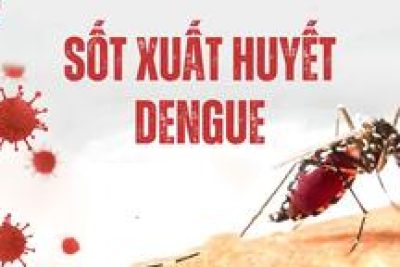 Phòng chống bệnh sốt xuất huyết