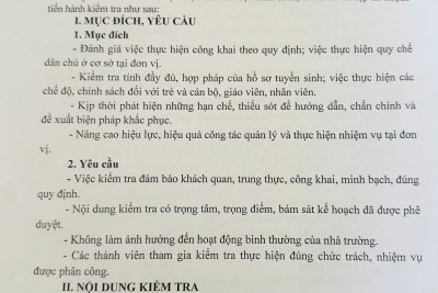 Kế hoạch Kiểm tra nội bộ tháng 4 trong trường học